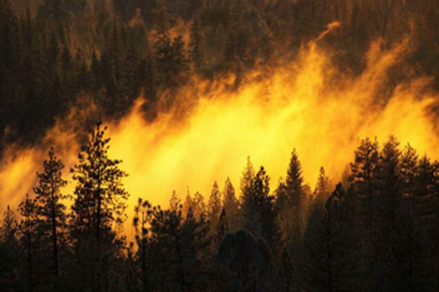 С лесными пожарами в Украине борются внутренние войска