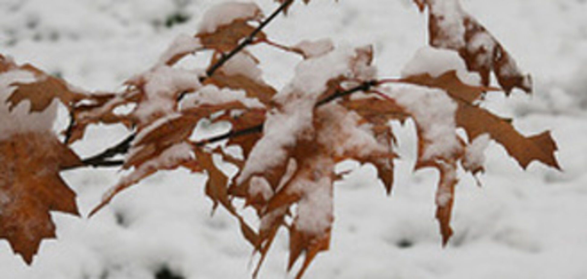 Чехию накрыло снегом