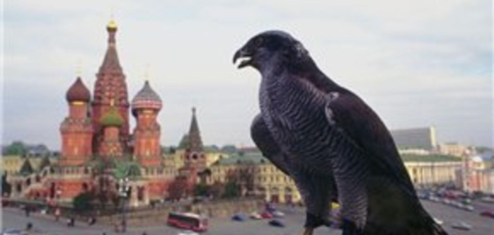 Птах збила російський літак