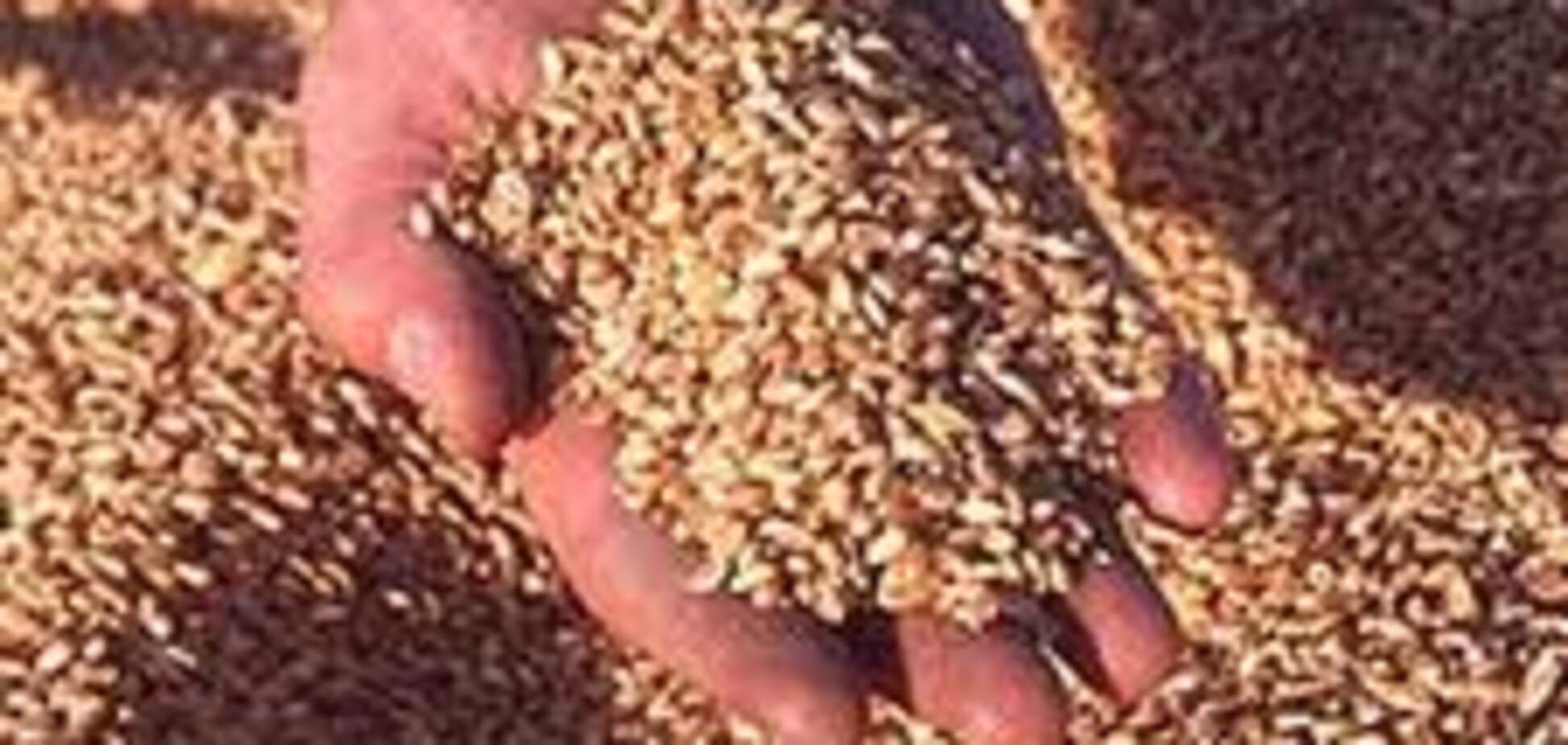 Украинский телеканал наживался на незаконном экспорте зерна