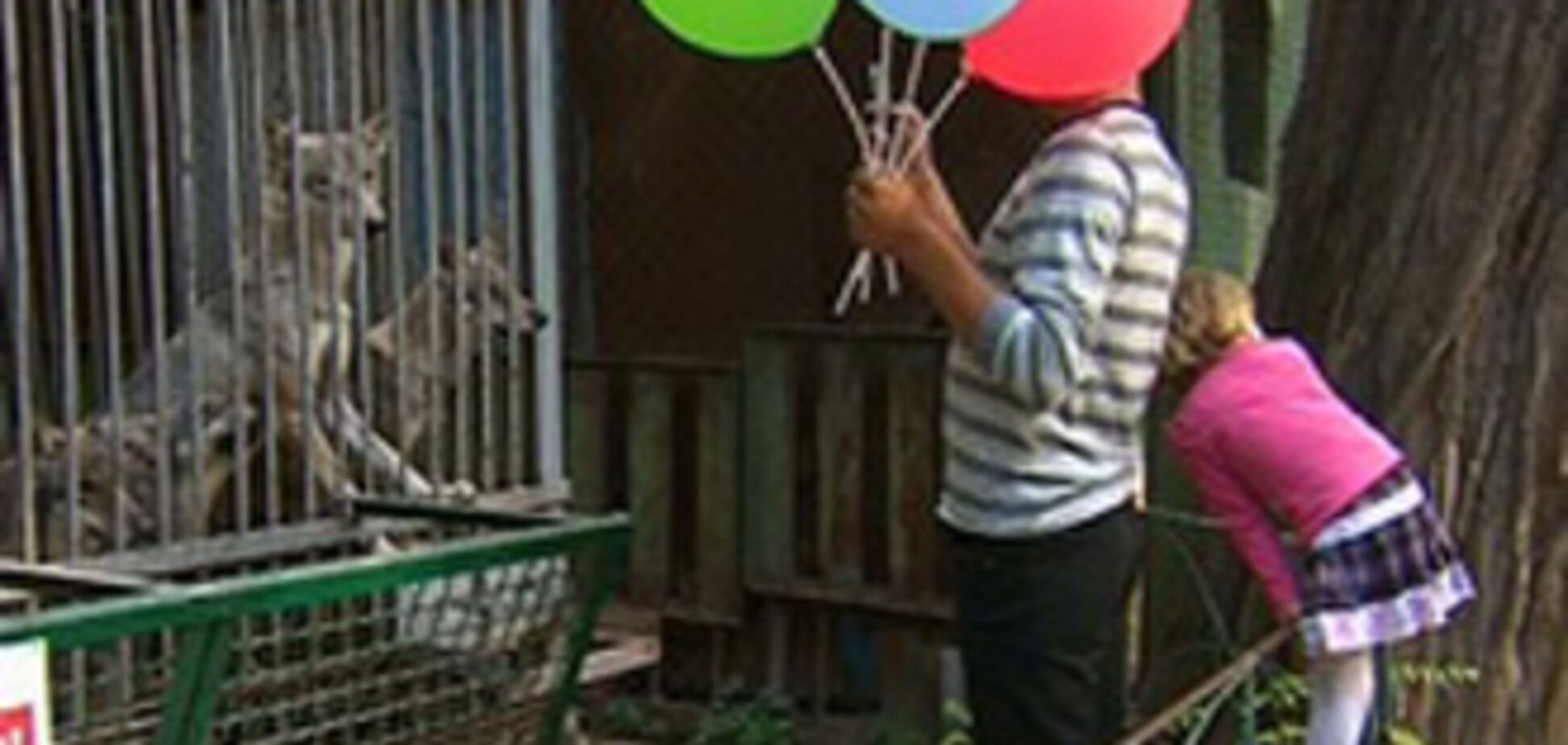 В Одессе волки покусали 6-летнюю девочку