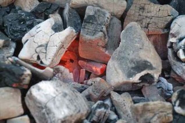 СБУ накрыла подпольный цех древесного угля