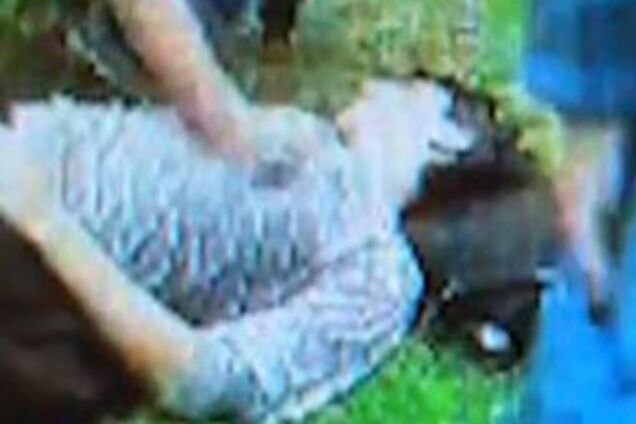 Загибель школяра зняли на мобільний телефон вбивці. ВІДЕО