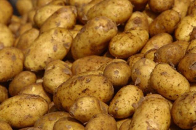 Україна купуватиме картоплю в Єгипті