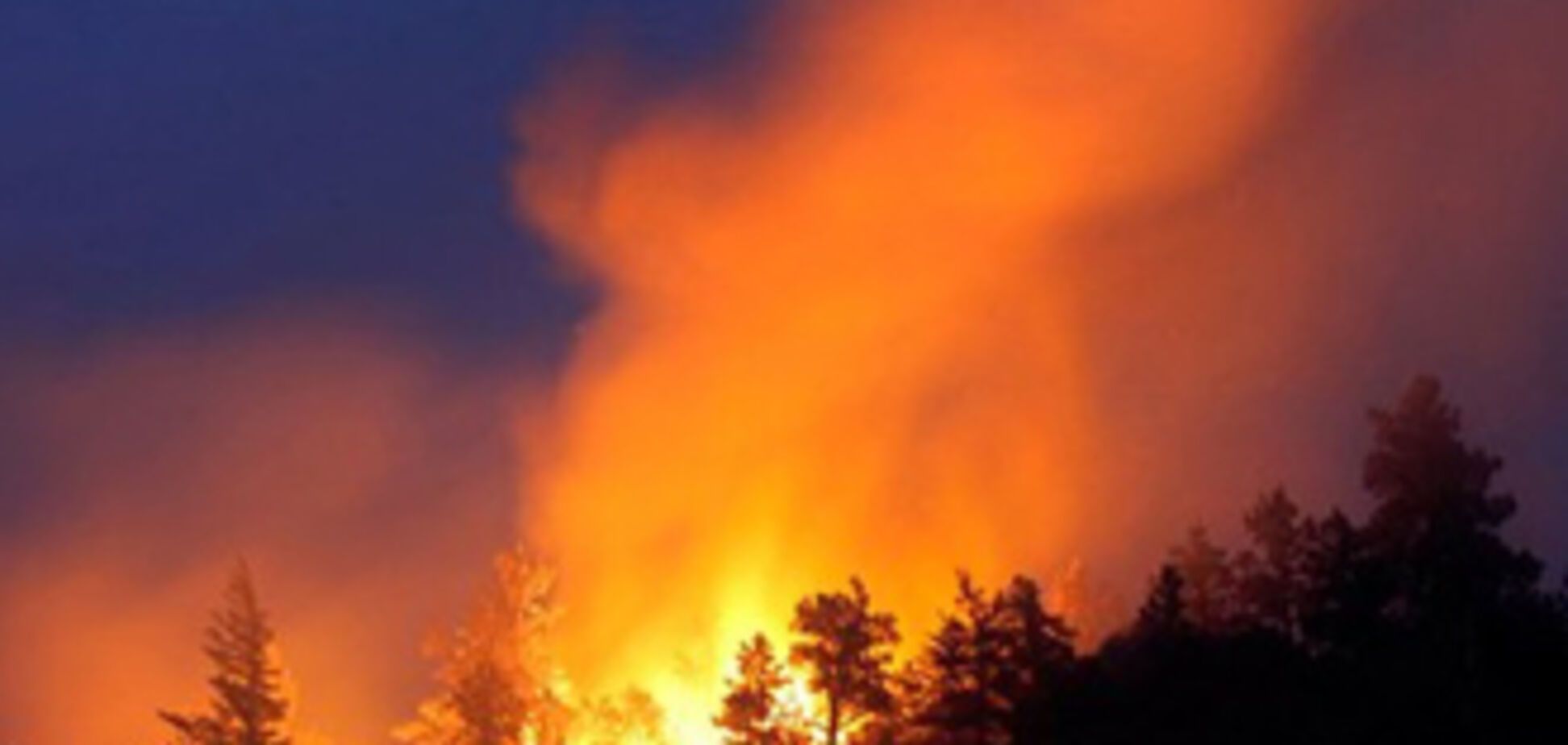 На Луганщині за півдня згоріло 8 гектарів лісу