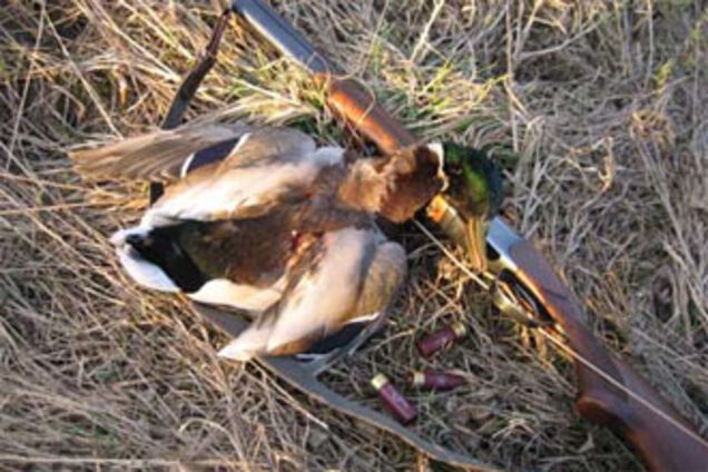 Всем, кому охота, можно на охоту