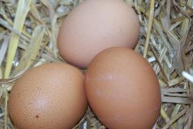 В Украине назревает яичный ажиотаж