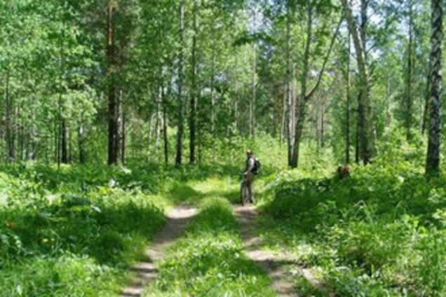 'Ленинград' выложили в сеть клип о Химкинском лесе.ВИДЕО
