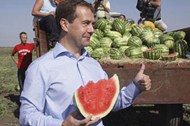 Медведев осчастливил Саратовских коров - они стояли улыбаясь