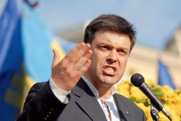 Тягнибока переобрали главою 'Свободи'