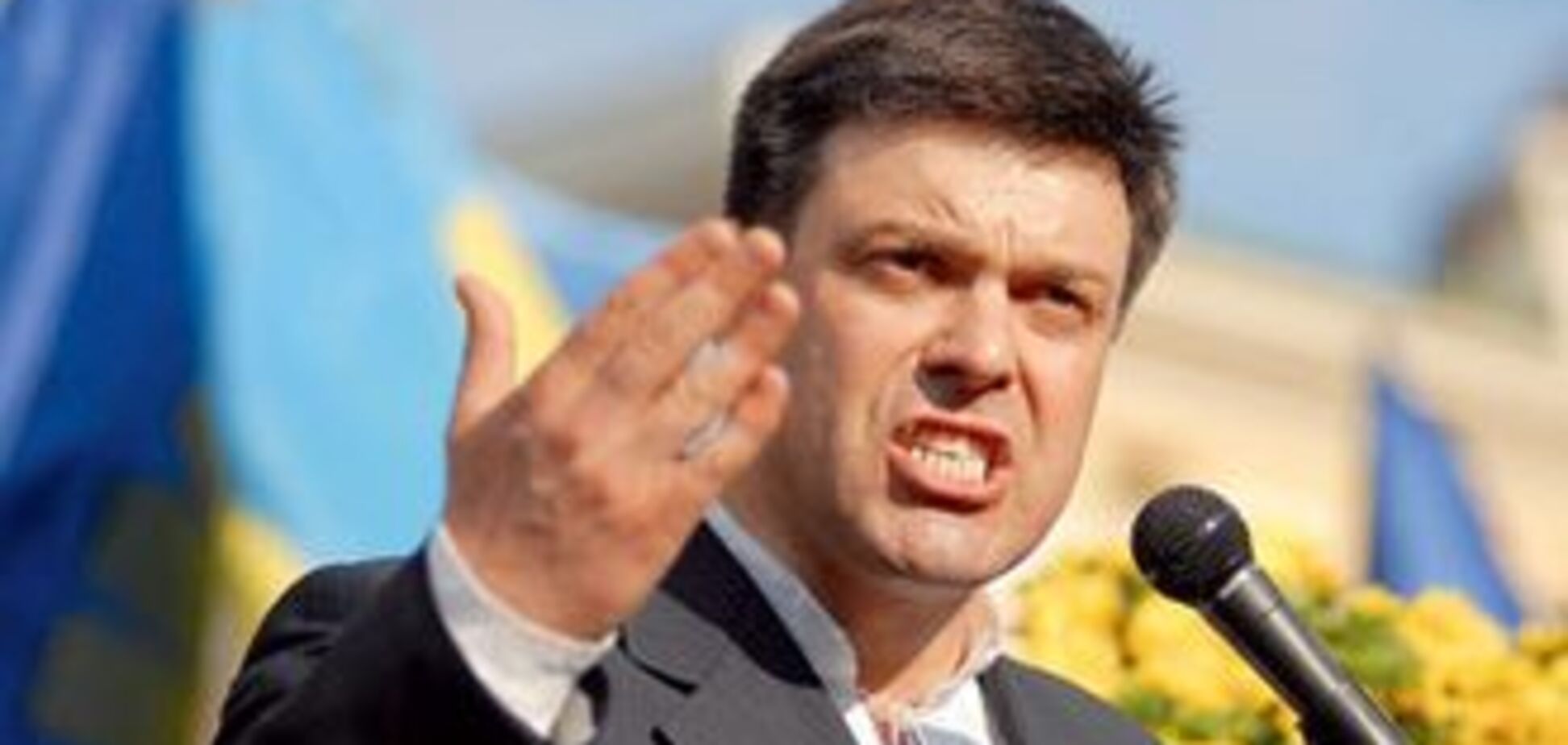 Тягнибока переизбрали главой 'Свободы'