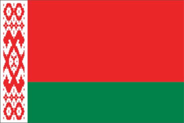 Белорусская оппозиция ищет своего Януковича