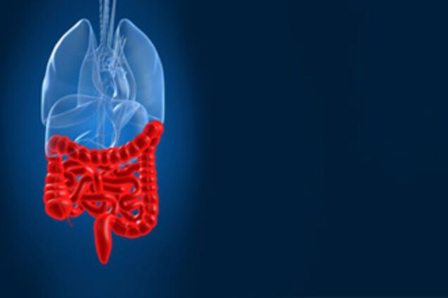 Названа краща їжа для кишечника