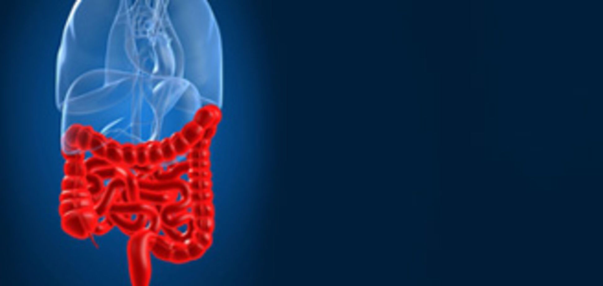 Названа краща їжа для кишечника