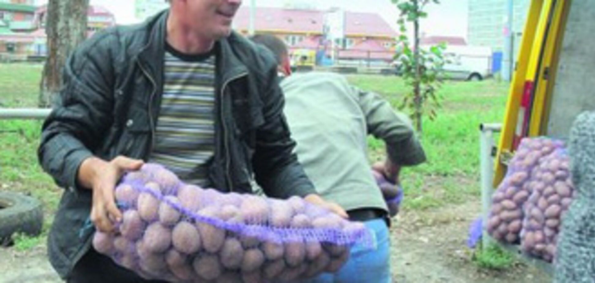 Картопляна паніка: торговці лякають цінами