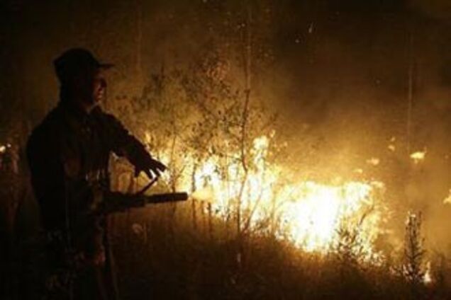 Перед лісовими пожежами в Підмосков'ї звільнили 500 лісників