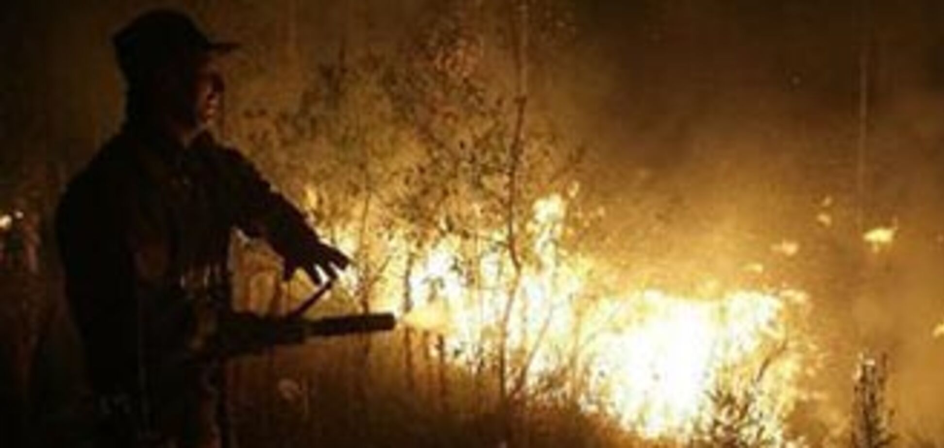 Перед лісовими пожежами в Підмосков'ї звільнили 500 лісників