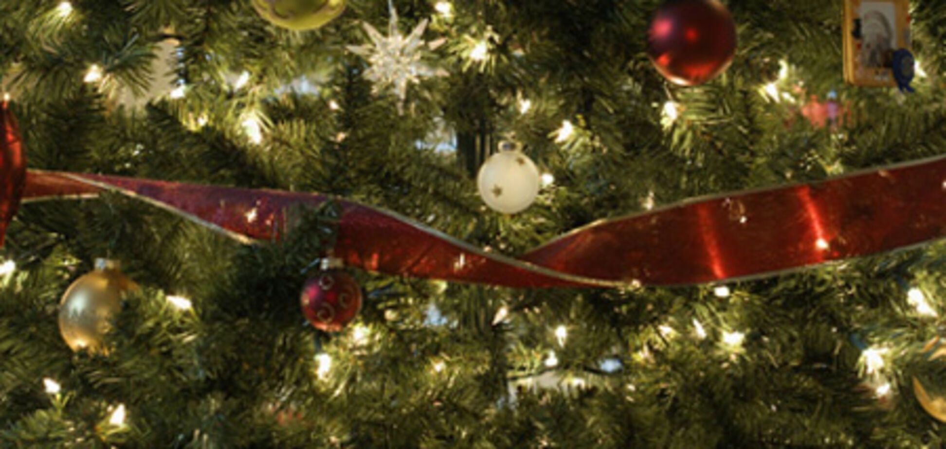 Грабіжник намагався струсить з ялинки на площі гірлянди