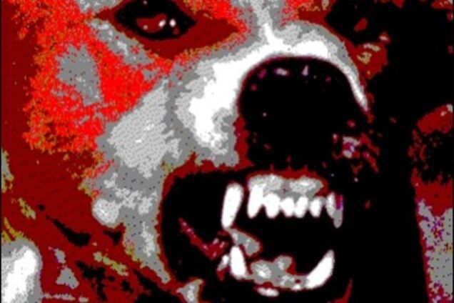 Собаки загрызли насмерть туриста