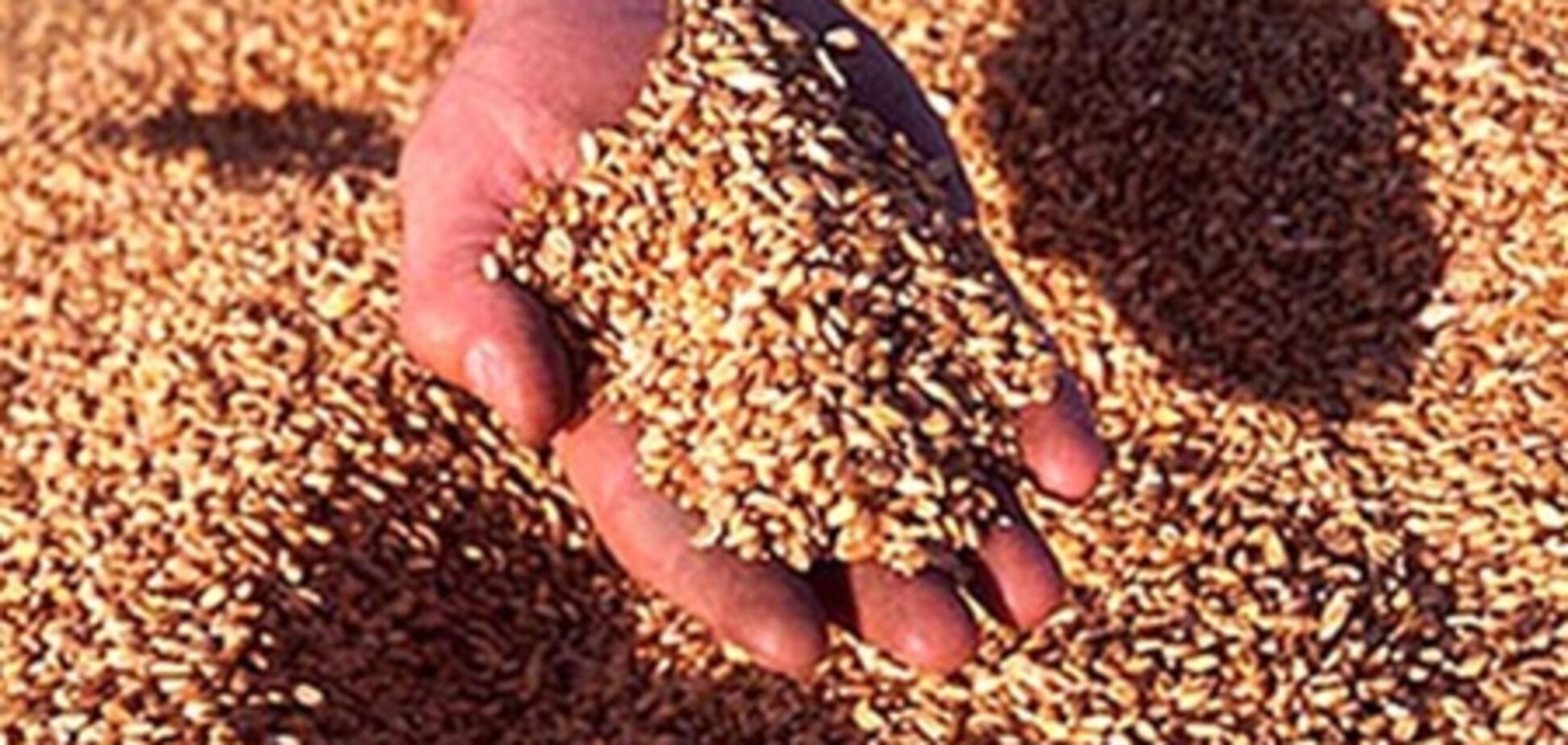 Распределены квоты на экспорт зерна