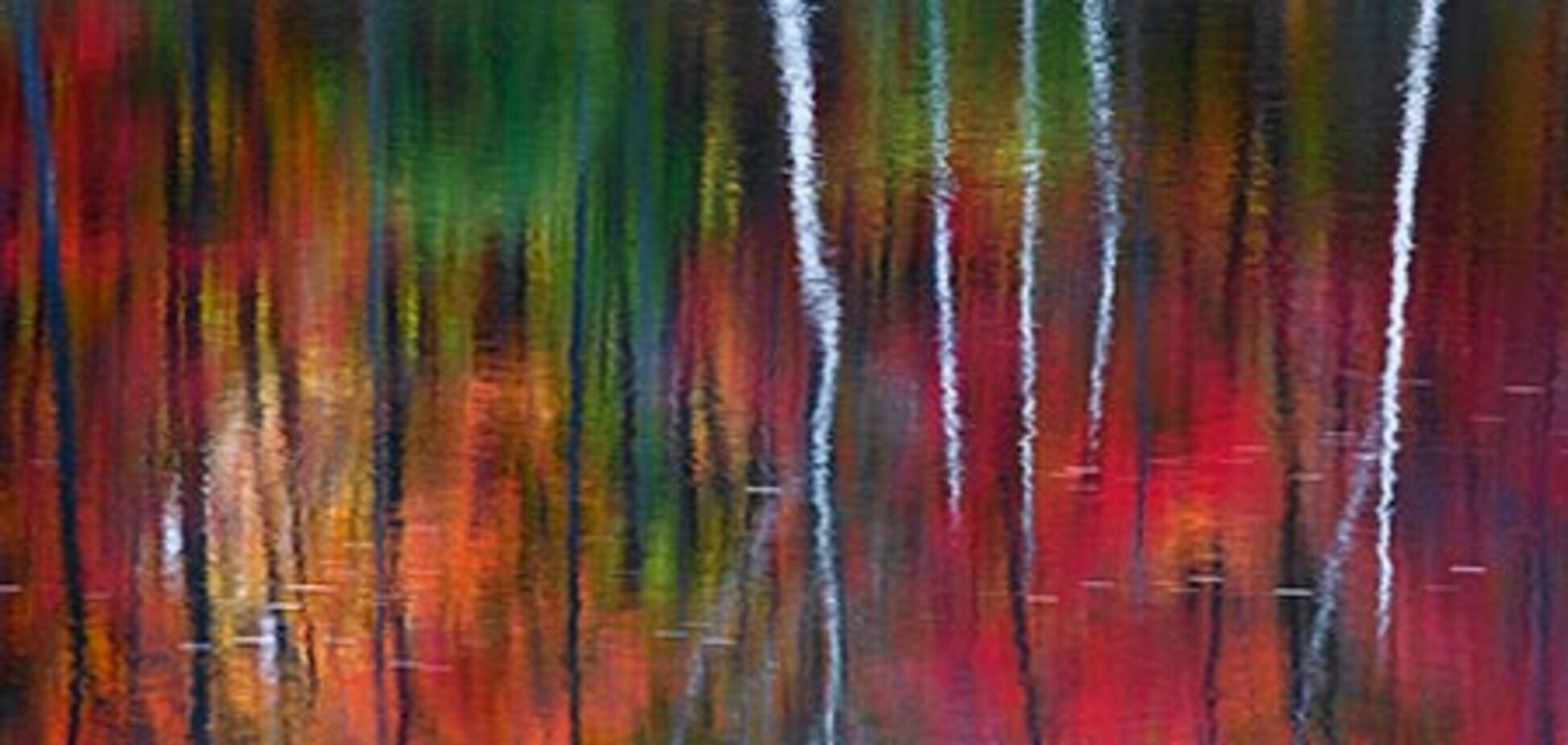 Снимок австралийского фотографа продали за 1 млн долларов