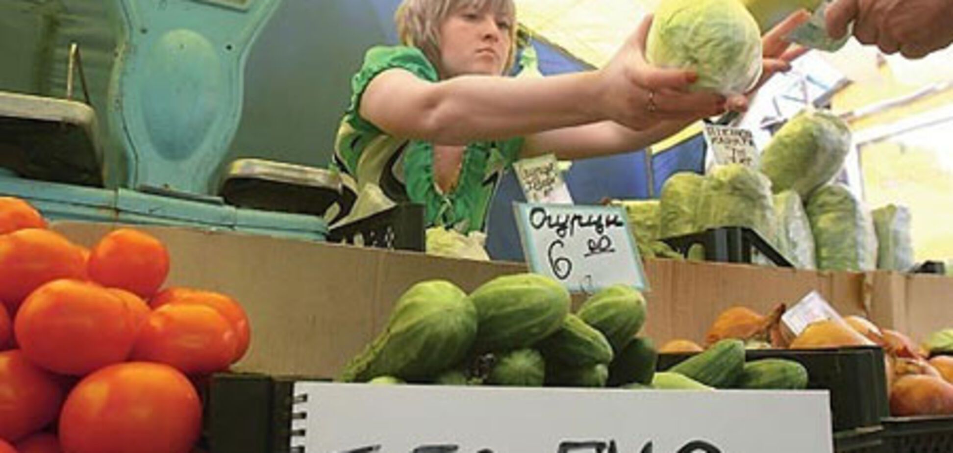 15 красивых способов спасти мир