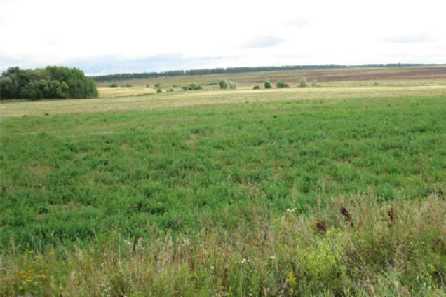 Землю народу не видать