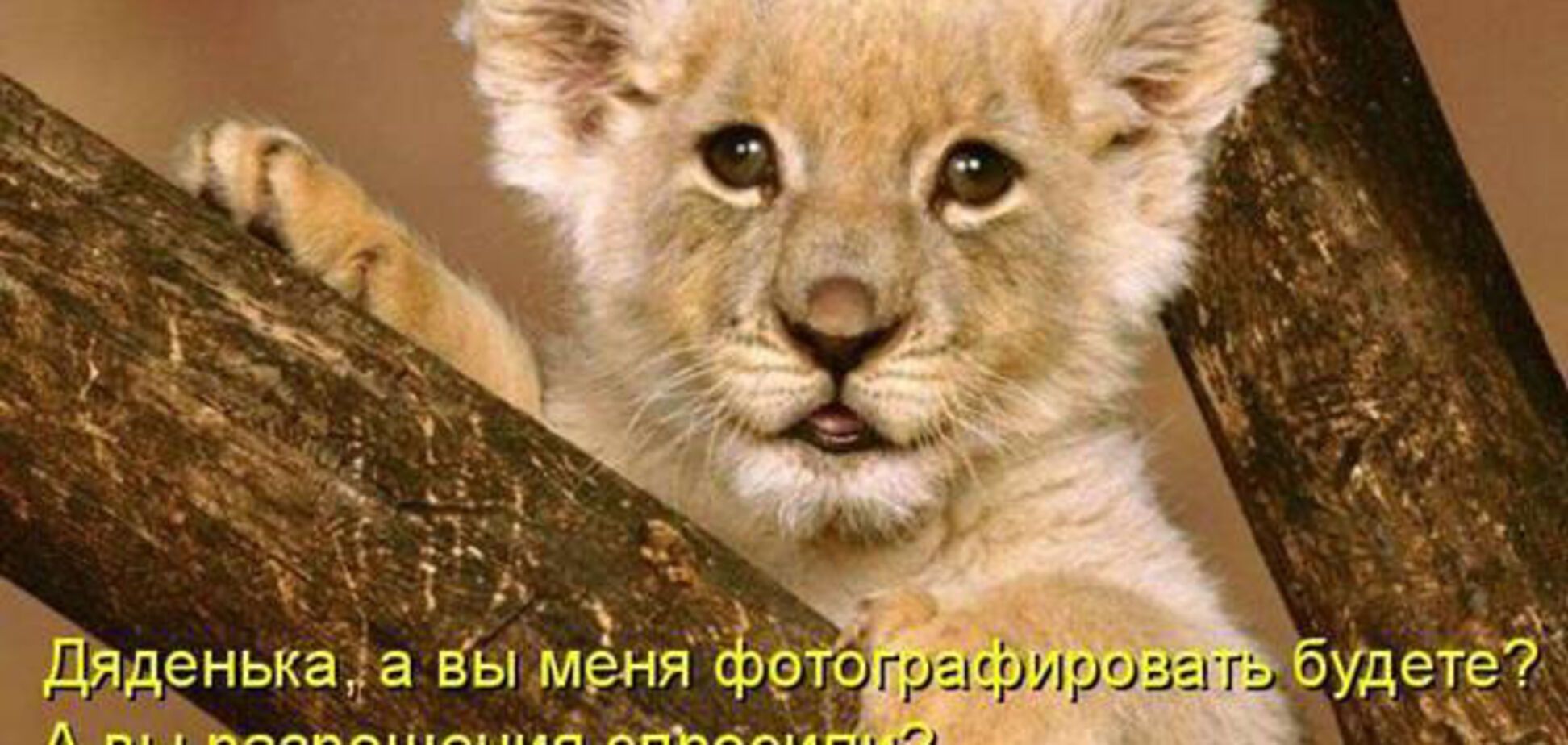 Окончательное решение женщины редко бывает последним