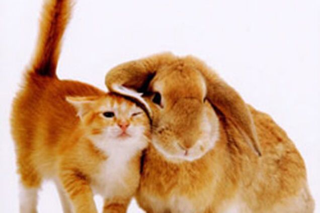 Щасливий гороскоп для всієї родини