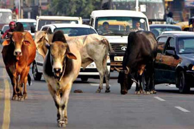 2 млн нескінченно подорожуючих людей