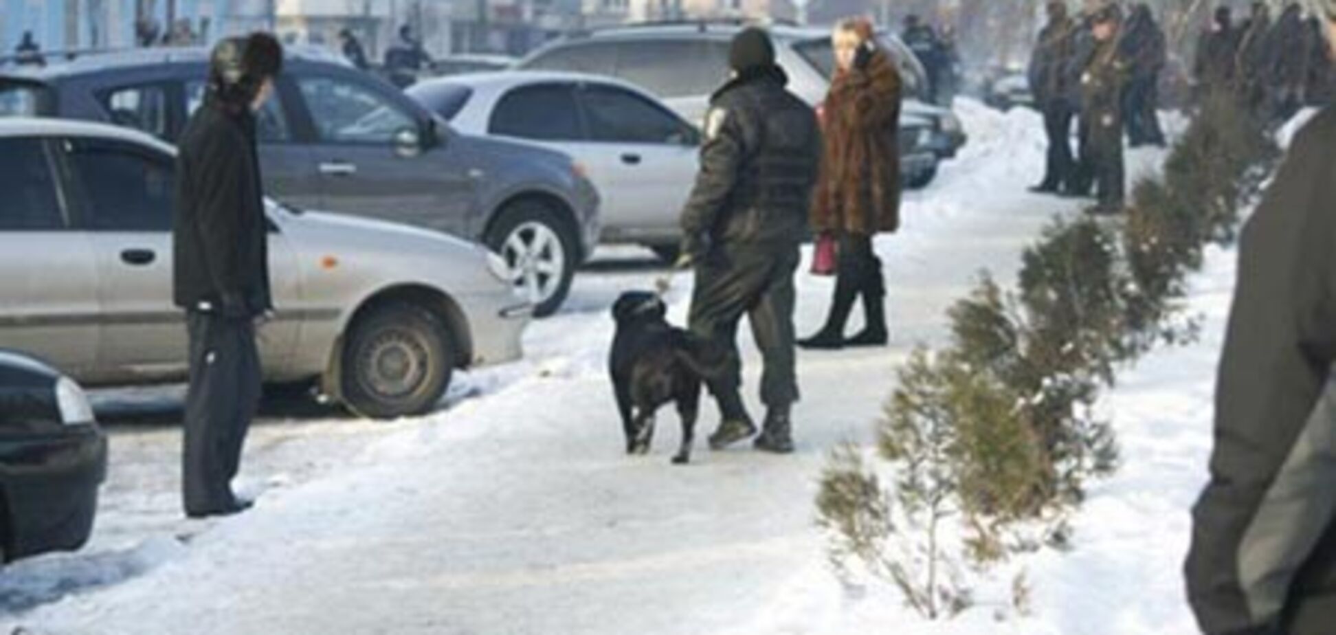 В Макеевку ввели внутренние войска