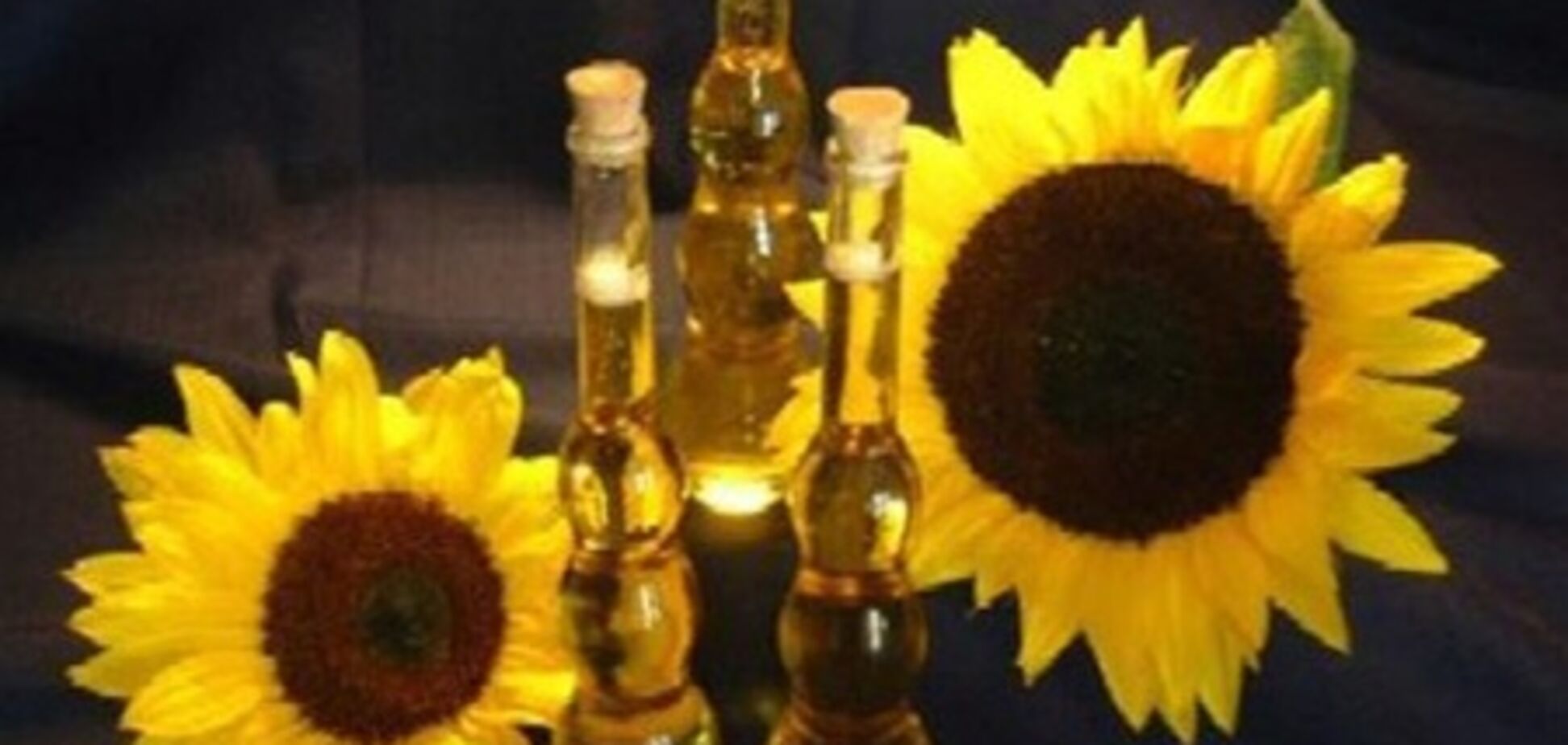 АМКУ занялся подсолнечником