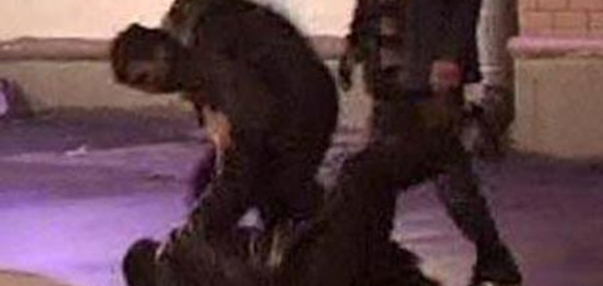 Пьяным милиционерам отомстили, избив битами и арматурой