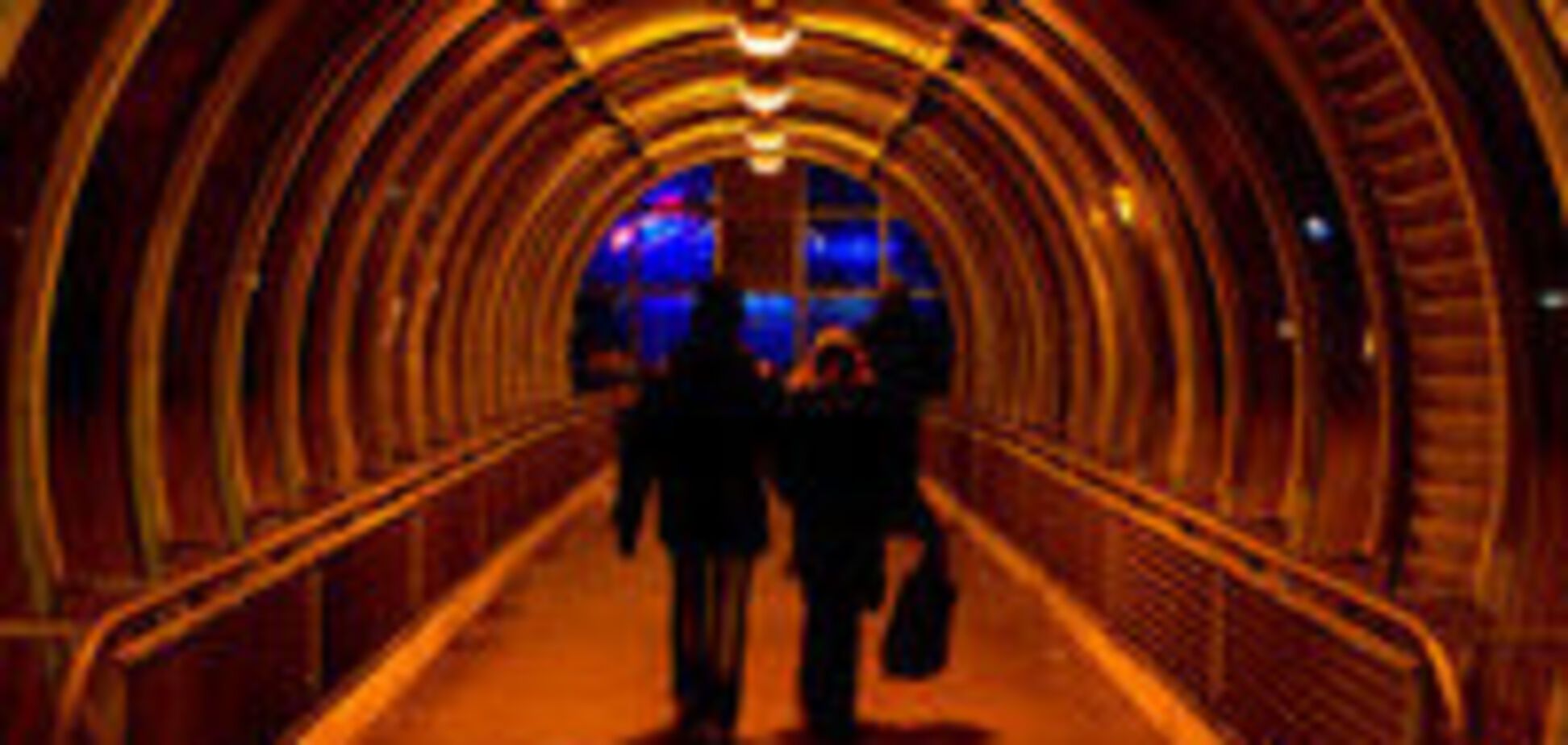 Скелет человека год пролежал в переходе на МКАД