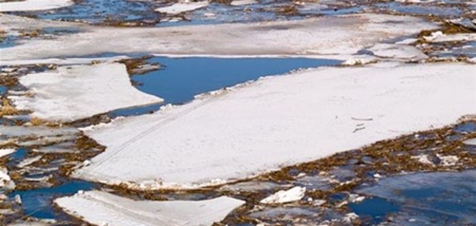 11-річний школяр врятував провалилися під воду дітей