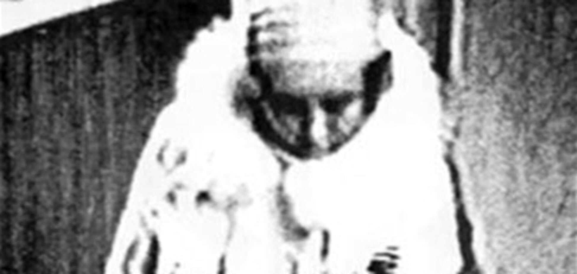 Террористка: 'Я в домике!'. Оператор: 'Да нет, с Новым годом!'. Взрыв...