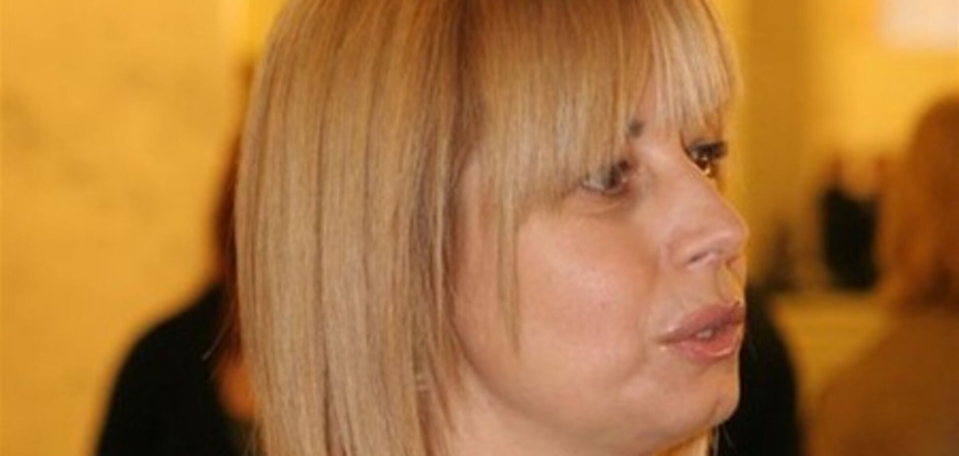 Герман хочет оппозицию заменить общественными организациями