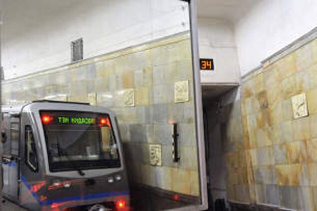 У московському метро на шляху впало дерево