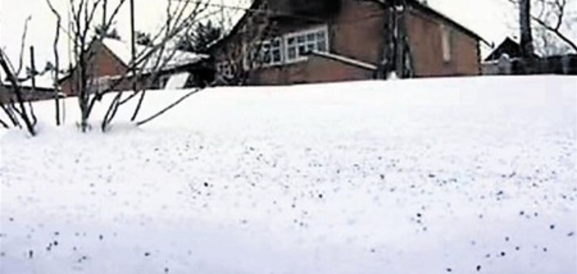 В Харьковской области выпал черный снег. ФОТО