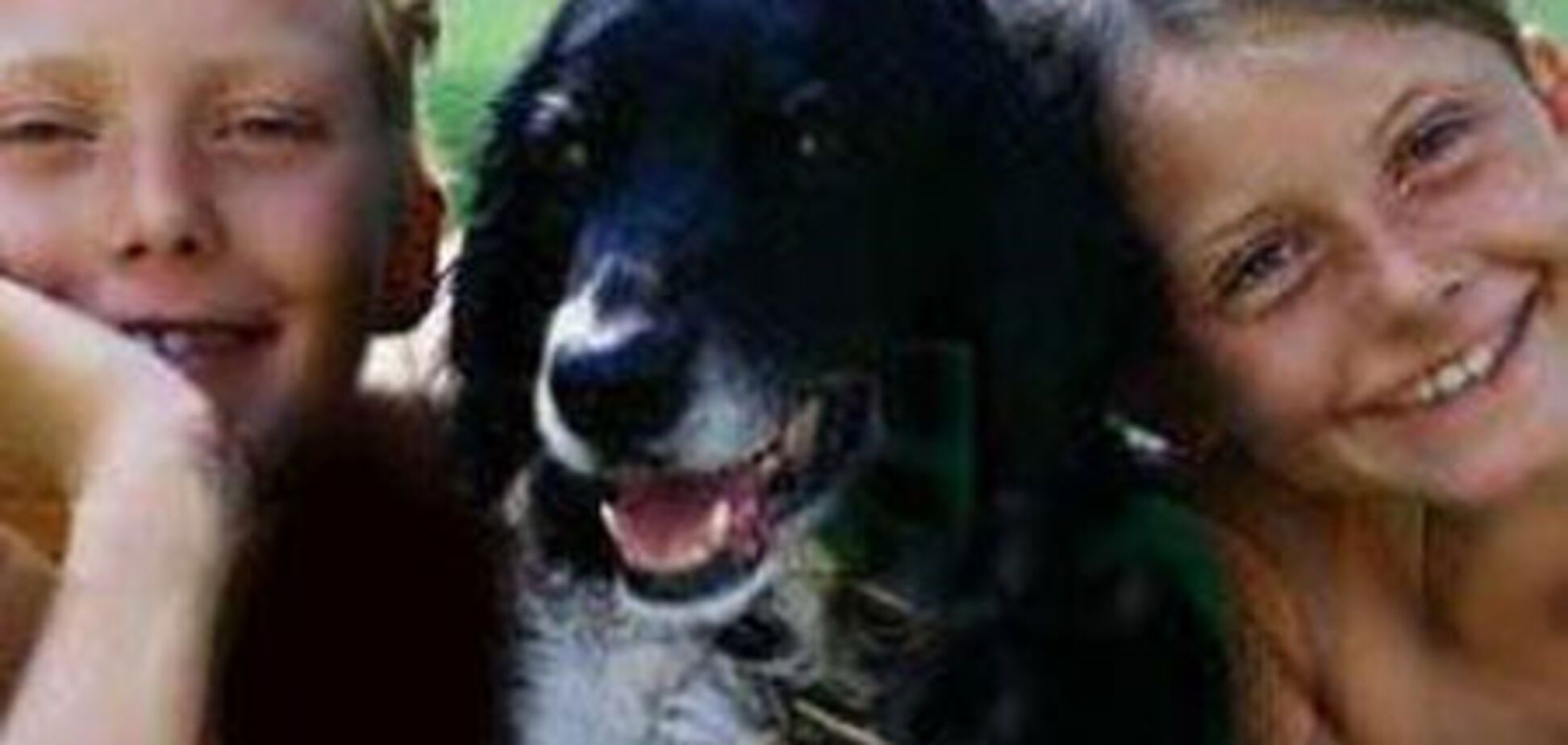 Собака - кращий засіб від гіпертонії