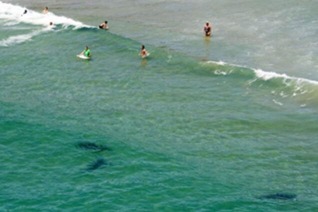 Картина дня: 4 січня в фотографіях