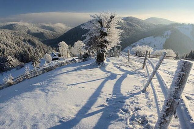 Спасатели нашли потерявшихся в Карпатах туристов из Москвы
