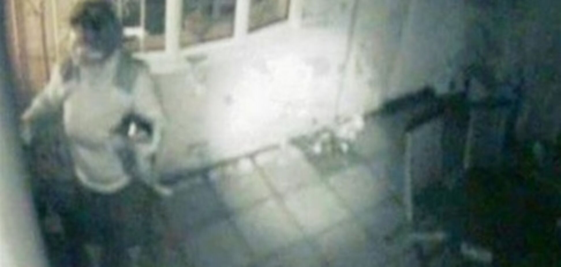 Жена депутата признана виновной в краже котенка