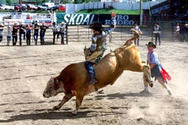 У США бик насмерть затоптав учасника родео. Відео