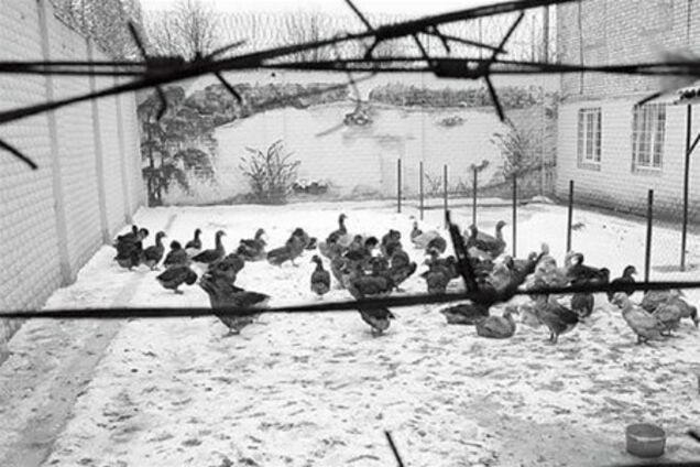 Где исправляют женщин