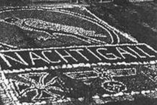 В Украине появилась улица Воинов батальона Нахтигаль