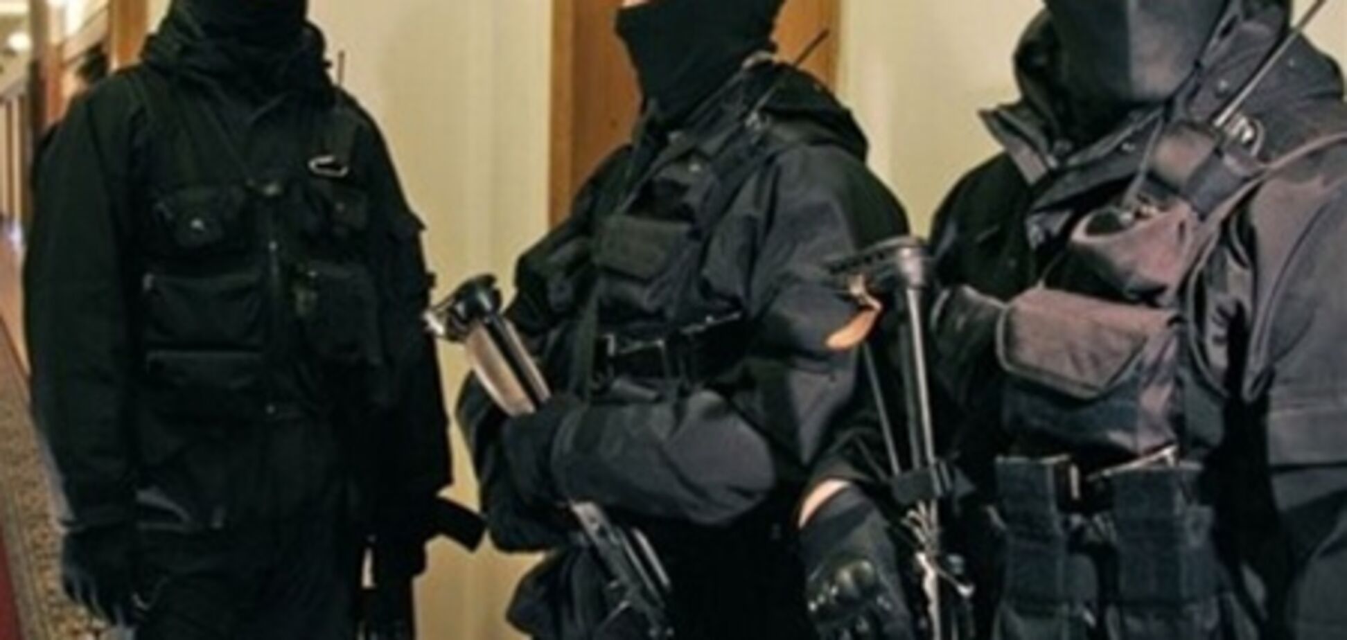 Маски–шоу в бизнес-центре Киева: версия налоговой