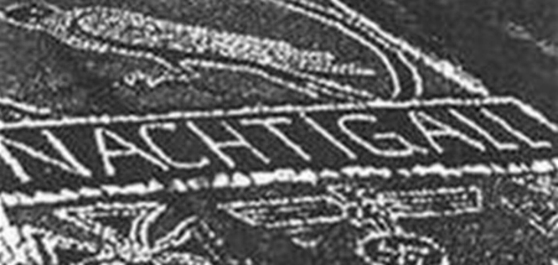 Партия регионов осудила переименование улицы Мира в улицу батальона Нахтигаль