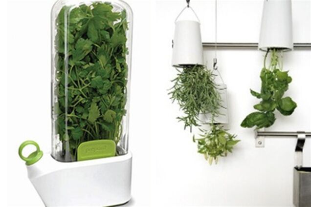 Составлен рейтинг самых необычных гаджетов для кухни