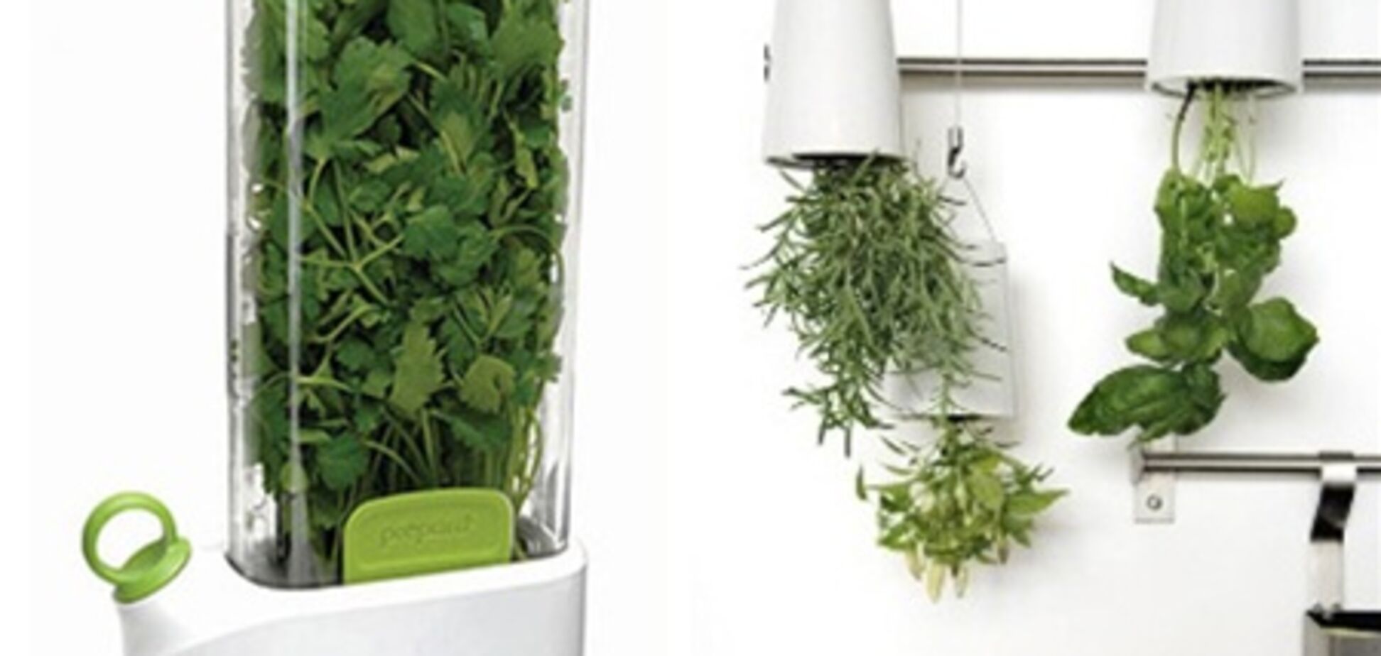 Составлен рейтинг самых необычных гаджетов для кухни